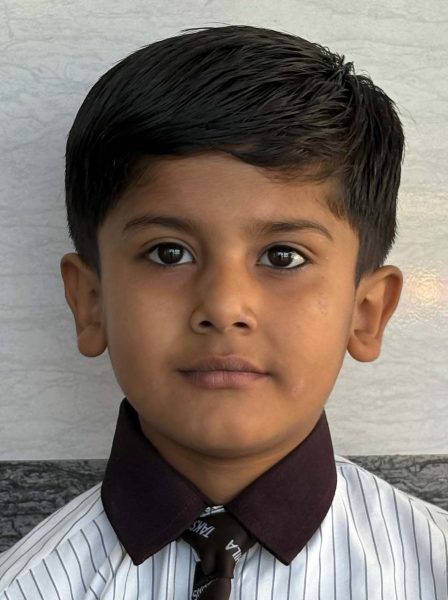 Vaidik